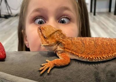 Little Girl Watching Bearded Dragon